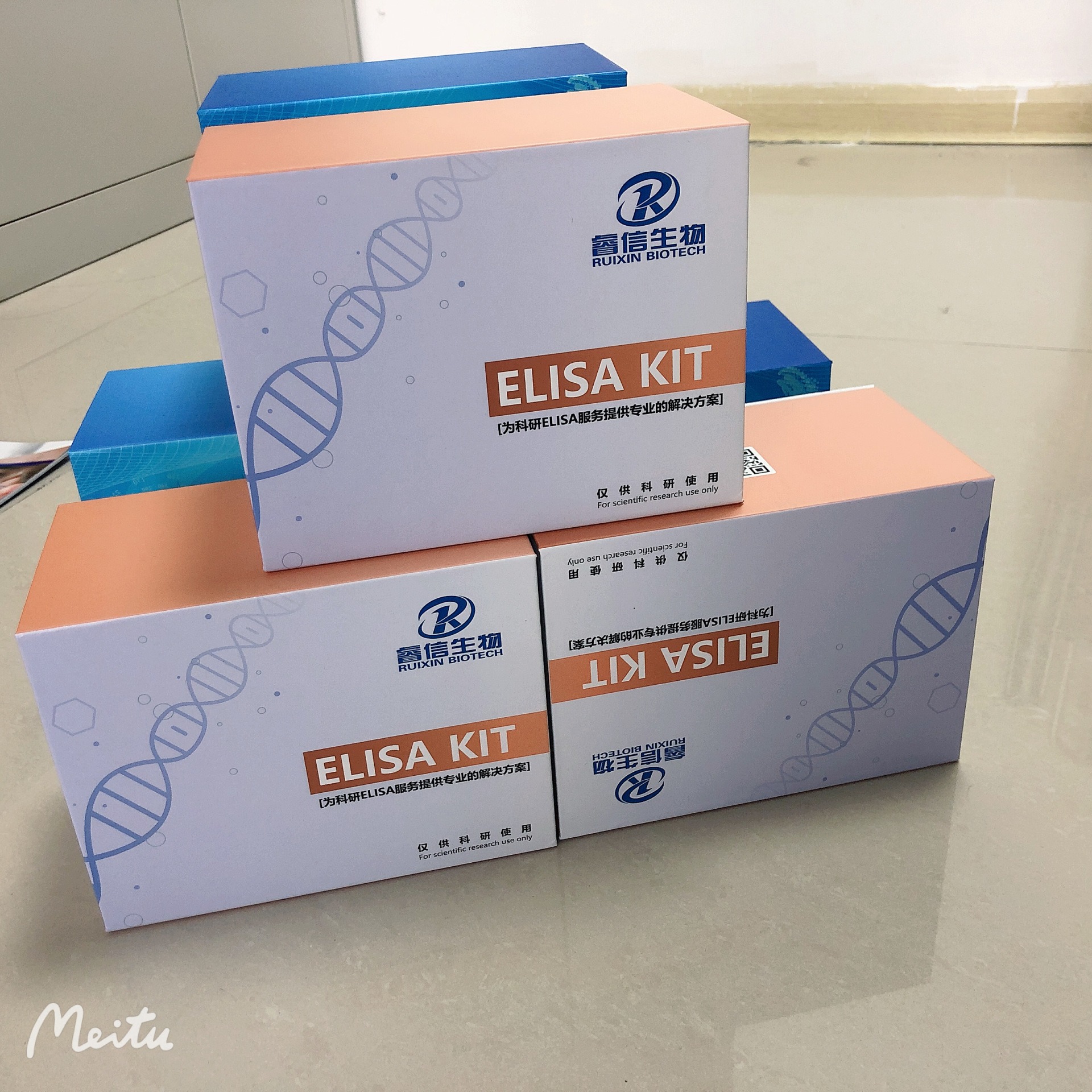 睿信生物 小鼠免疫球蛋白GIgGELISA试剂盒