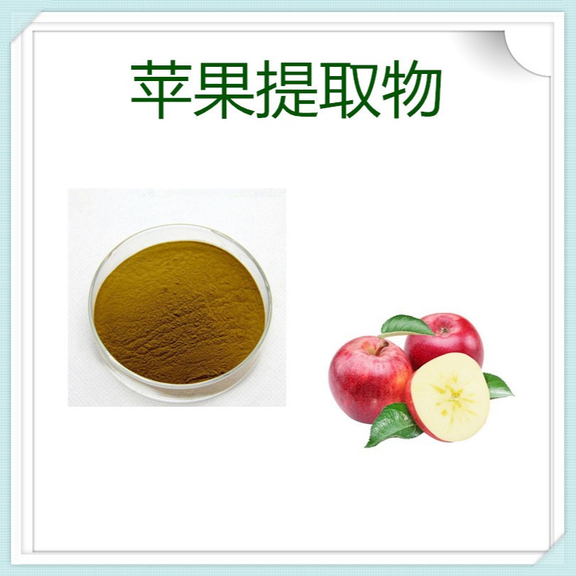 苹果提取物10:1 速溶粉 多酚 膳食纤维 药食同源原料