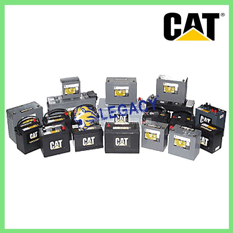美国CAT蓄电池175-4280，12V35AH电池-江西经销处