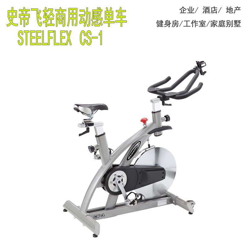 史帝飞自发电磁控商用背靠式健身车PR10