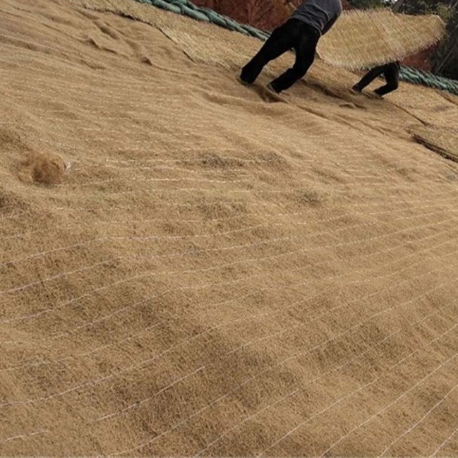 椰丝纤维毯 护坡毯 加筋抗冲植生毯河堤修复 保温保湿植物纤维毯 秸秆草毯图片