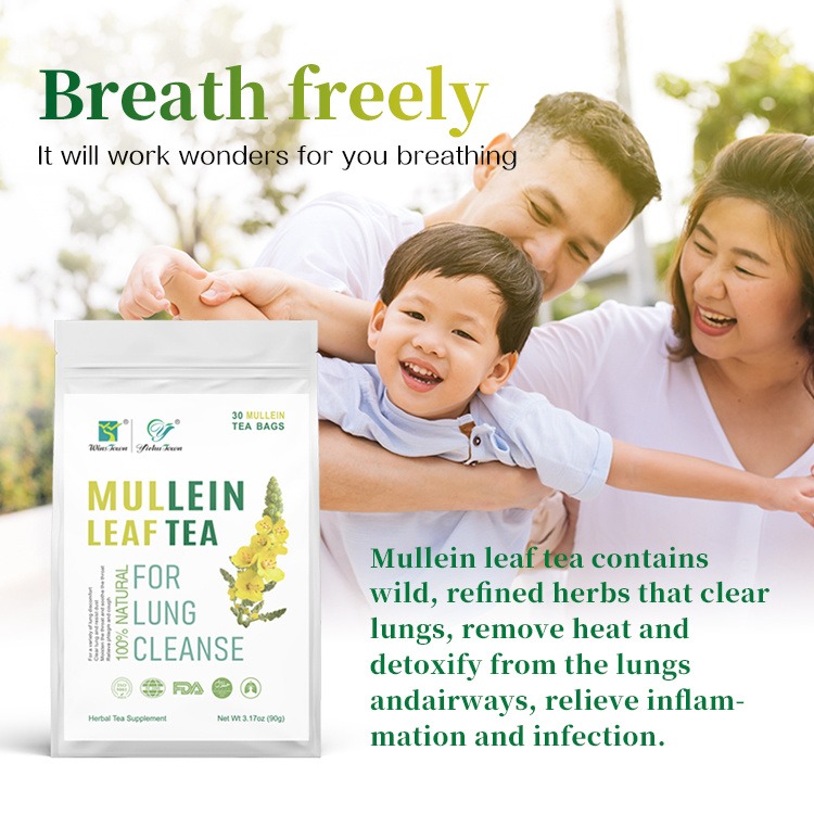 detox lung smoker tea Mullein leaf tea lung herbal cleaning