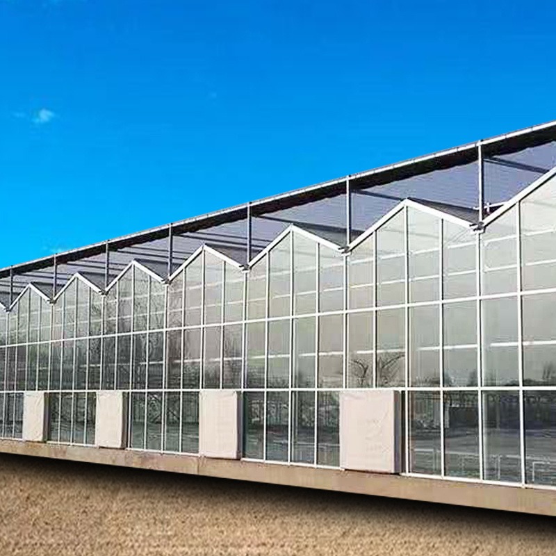 建达温室 大棚价格  温室大棚 玻璃温室大棚 大棚建设厂家 自动化 坚固耐用 环保节能