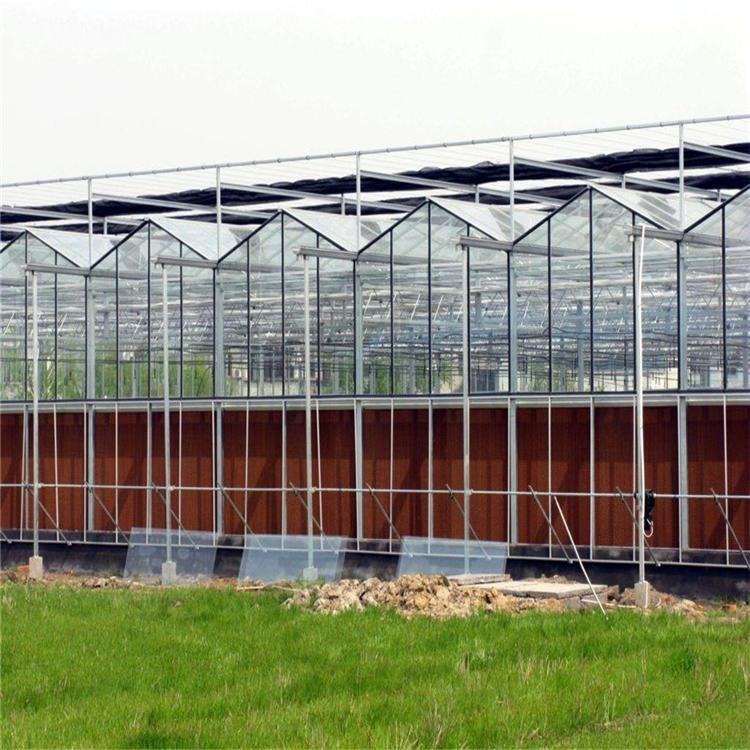建达温室 新型玻璃温室 大棚制造厂家 连体温室大棚 温室大棚造价 升温速度快