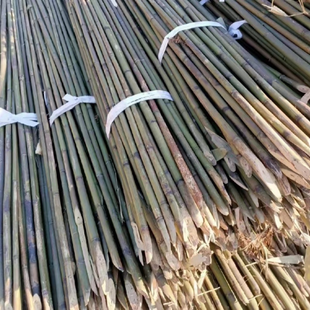 竹子厂家 花果蔬菜爬藤用竹杆 竹条丝瓜架条图片