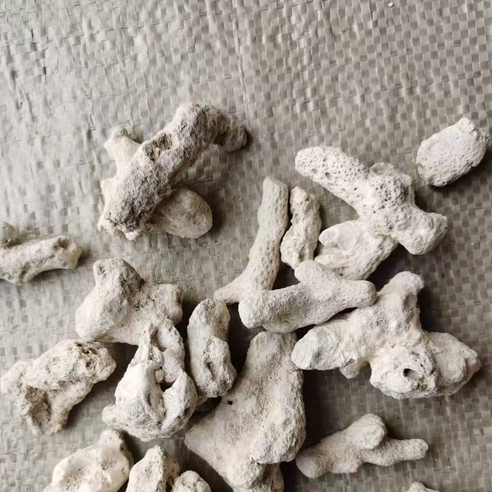 批发水族馆珊瑚石 白色珊瑚石 免费拿样图片