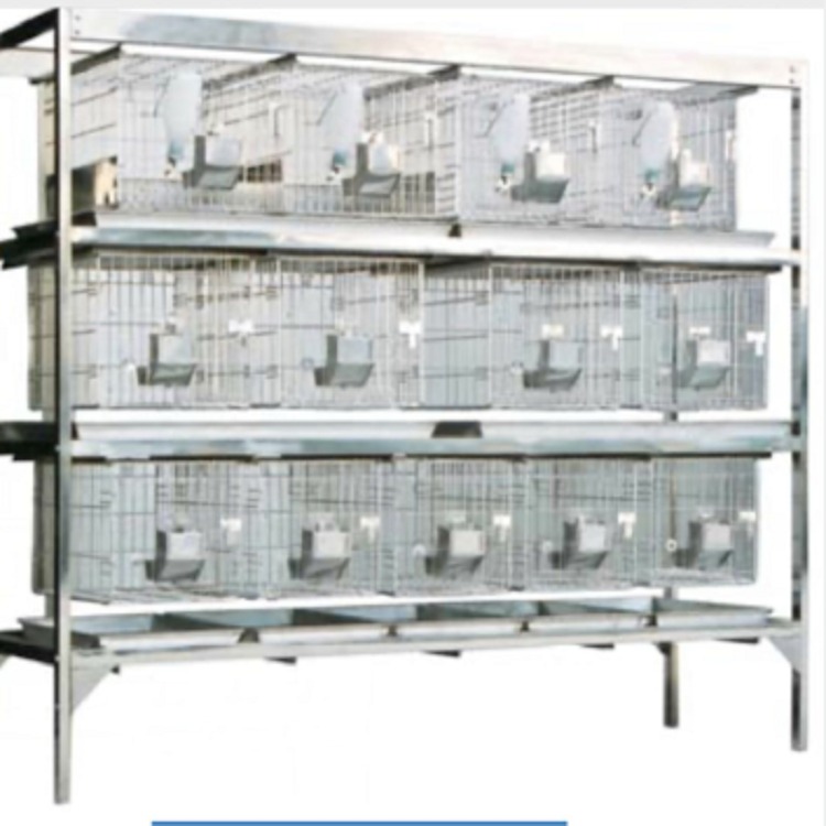 不锈钢干养式实验兔笼 干养兔笼JV222-RB42-12 海富达M59100