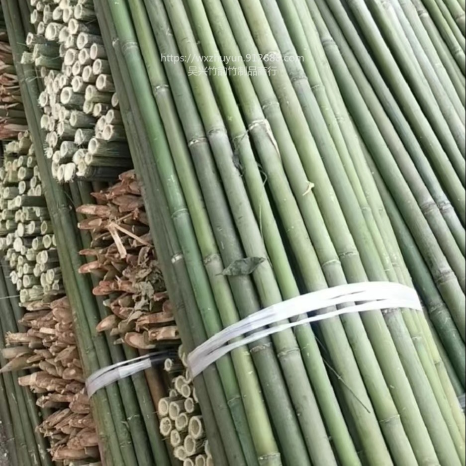 竹韵竹制品厂家大量供应 菜架竹  短节菜架竹壁厚耐用图片