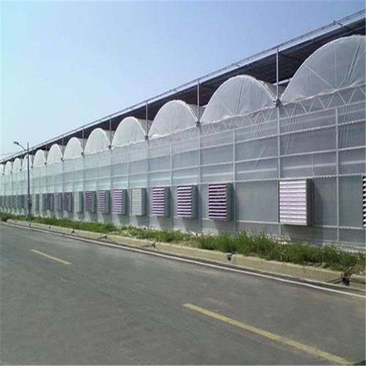 温室大棚制造企业 重庆温室大棚价格 旭航温室工程建设厂家