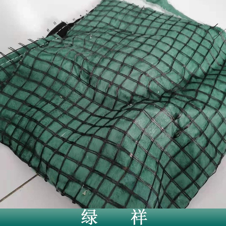 北京荒山修复植生毯 抗冲草毯边坡防护毯  欢迎来电咨询图片