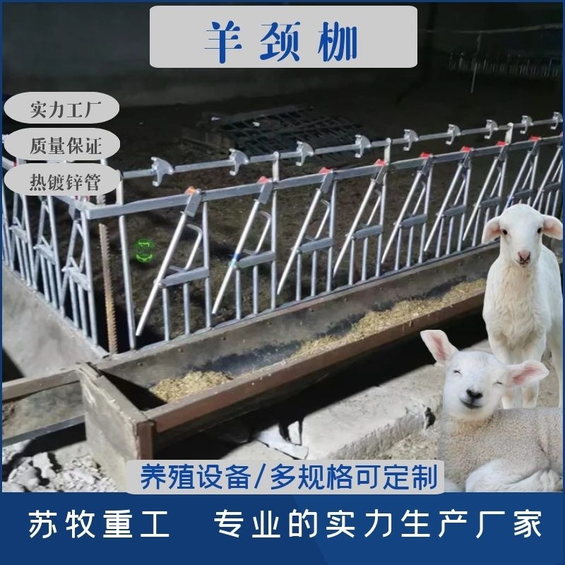 羊场新型自锁式羊颈夹 固定羊只采食防疫3米8位通用羊颈夹