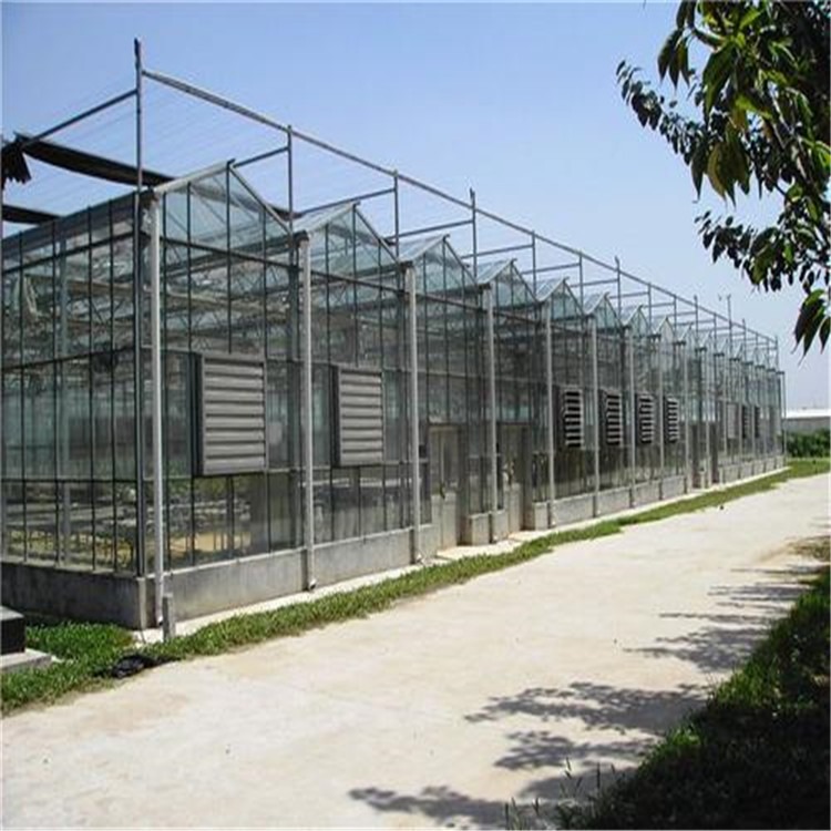 青海蔬菜温室大棚 最新智能玻璃大棚建设方案 旭航图片
