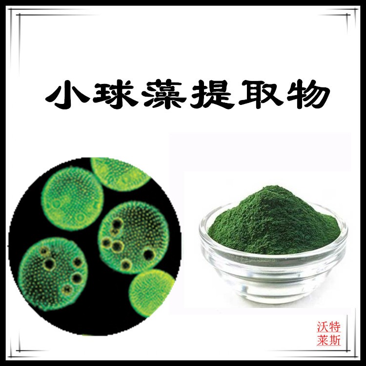 小球藻提取物10:1比例提取，小球藻粉，小球藻蛋白90%，小球藻浓缩粉，小球藻提取液，1公斤起订，包邮图片