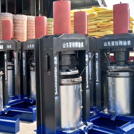 卢氏菜籽螺旋榨油机设备 文峰液压榨油机价格 全自动榨油机全套设备