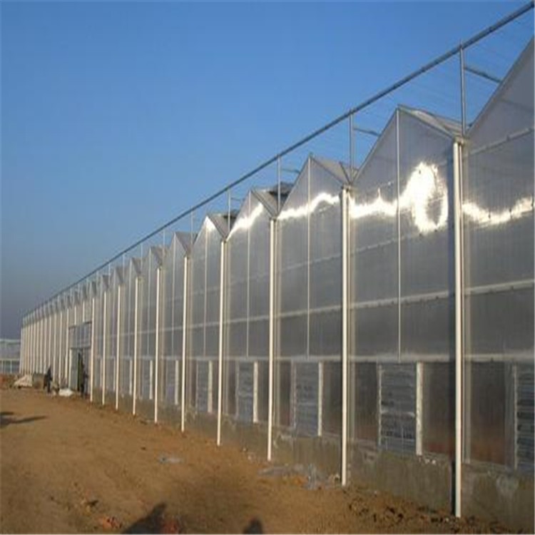 钢筋大棚建造 文络式玻璃温室 旭航温室大棚建设