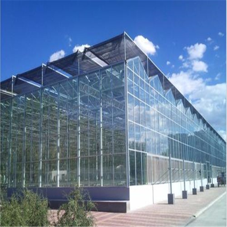 玻璃温室大棚货真价实 全铝结构玻璃温室旭航温室大棚建设图片