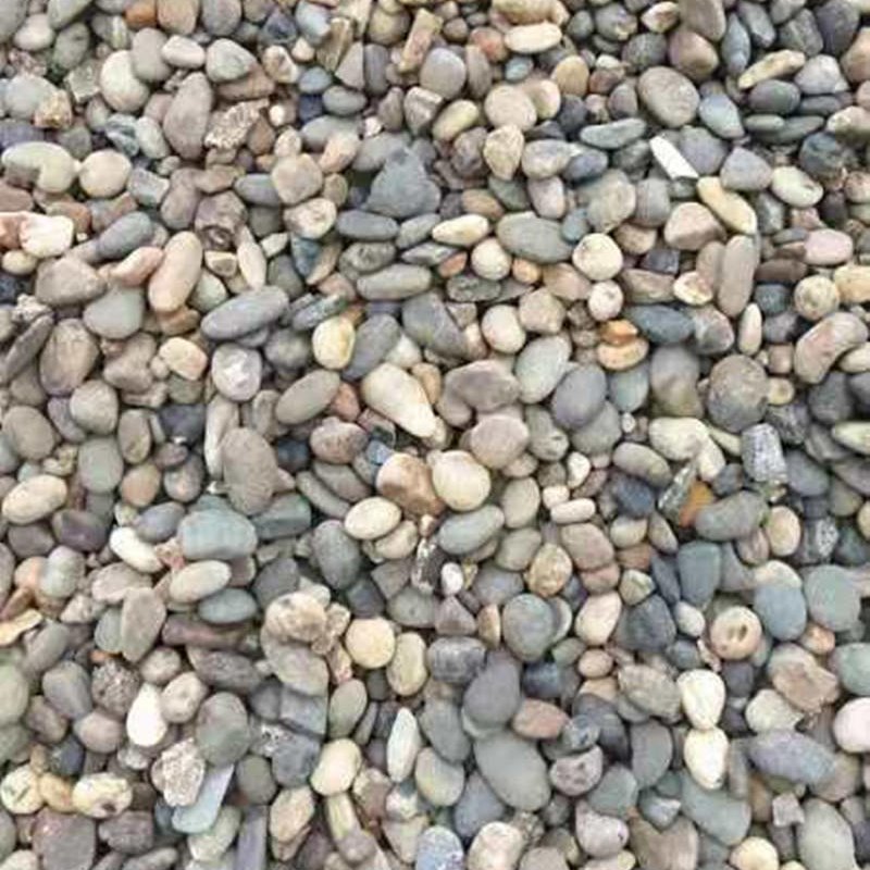 原生态豆石  鹅卵石滤料   造景铺路鱼缸鹅卵石   家装地暖回填天然鹅卵石 昌奇