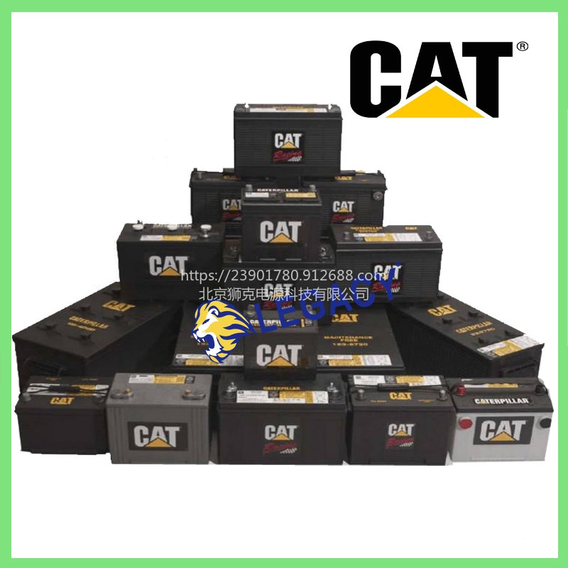 美国CAT蓄电池250-0478，MF-AGM/VRLA 12V186AH电池-庆阳供应商