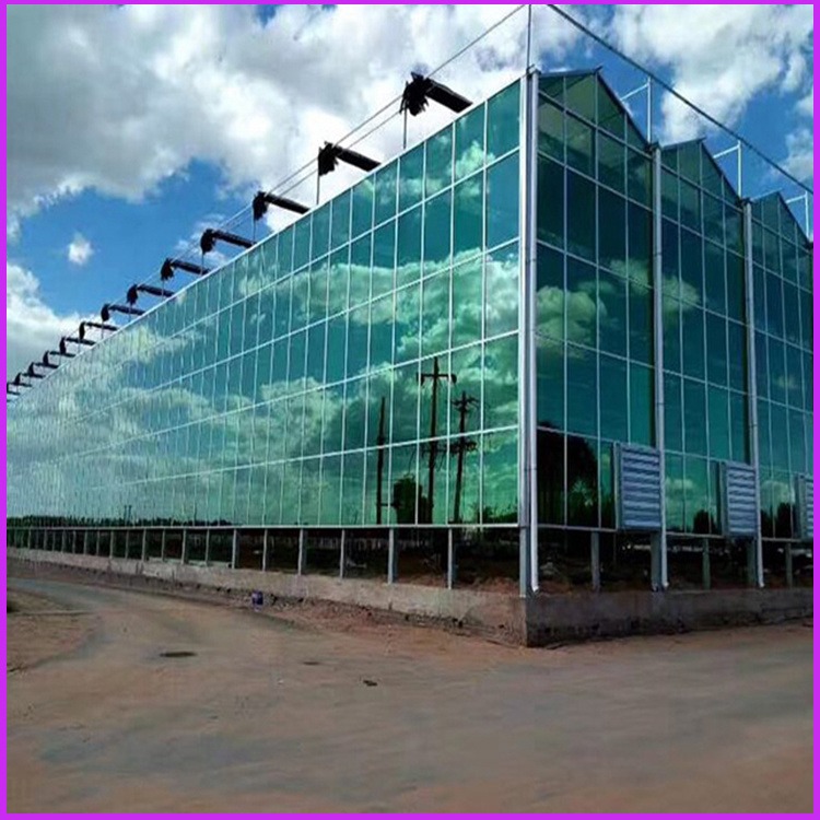 河南省PC中空阳光板 透明10mm阳光板 景观大棚PC阳光板厂家定制