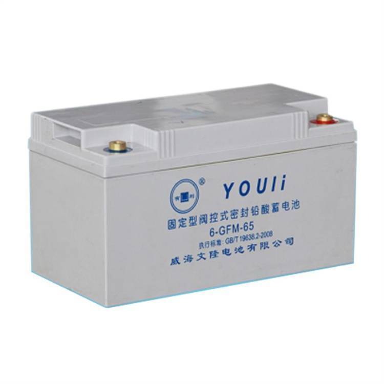 有利YOULI蓄电池6-GFM-65 12V65AH高性能阀控式免维护铅酸蓄电池