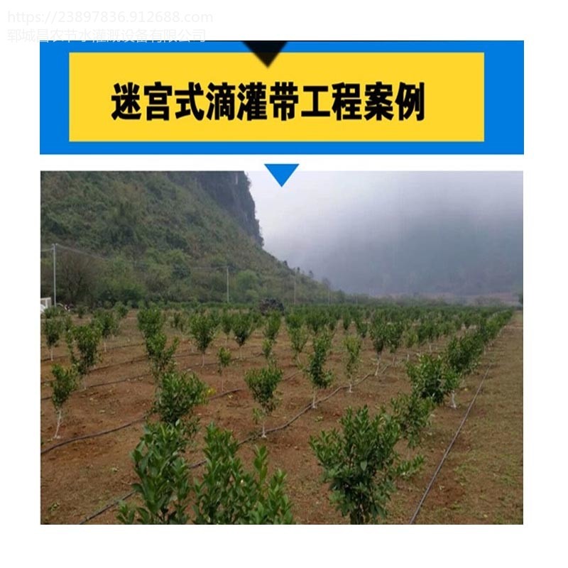 滴灌带系统 茶树苗滴灌带系统设计安装费用清单图片