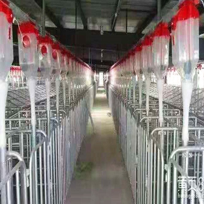 养猪自动化设备 猪哈哈 养猪设备厂家 猪场自动化设备 产地货源