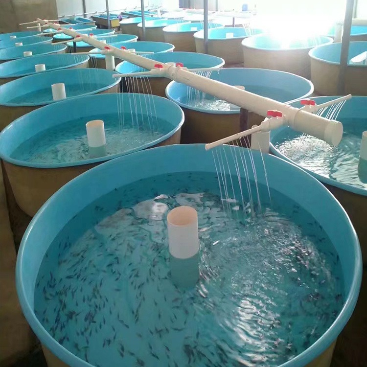 鲫鱼苗鱼池 手糊制品制作水池 养鱼苗玻璃钢水槽 腾广制造
