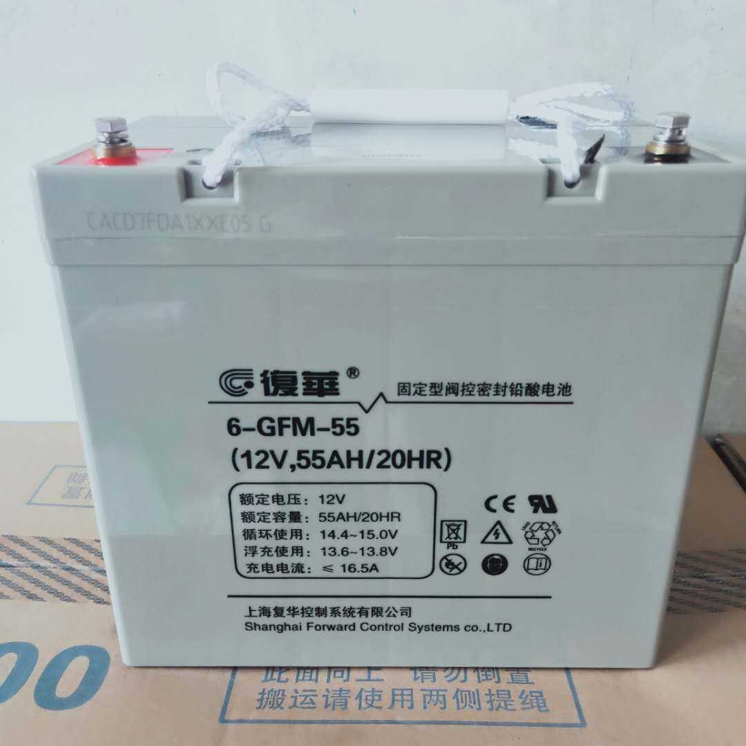 复华蓄电池6-GFM-55 保护神蓄电池12V55AH 通讯/基站/太阳能/消防