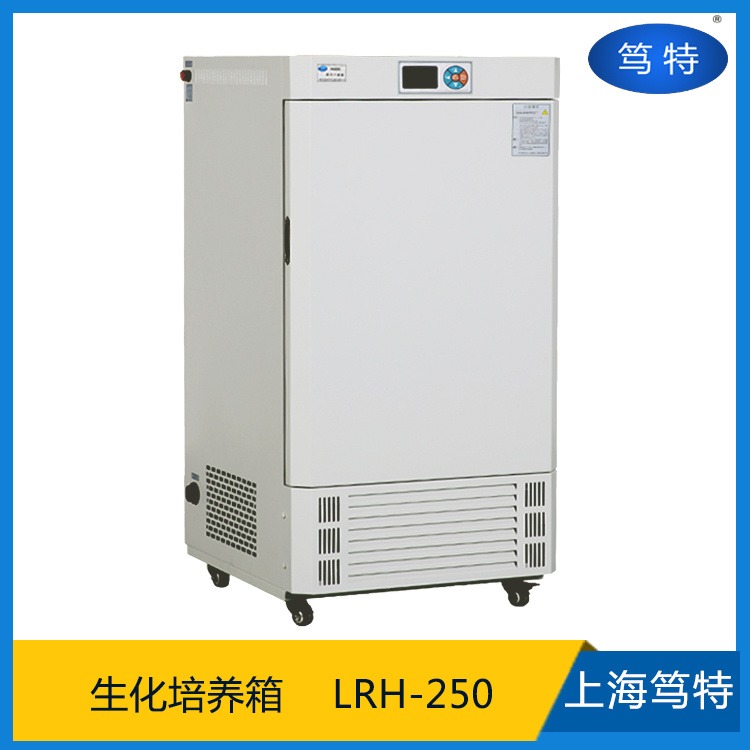 上海笃特LRH-250大型恒温生化培养箱实验室智能恒温生化培养箱