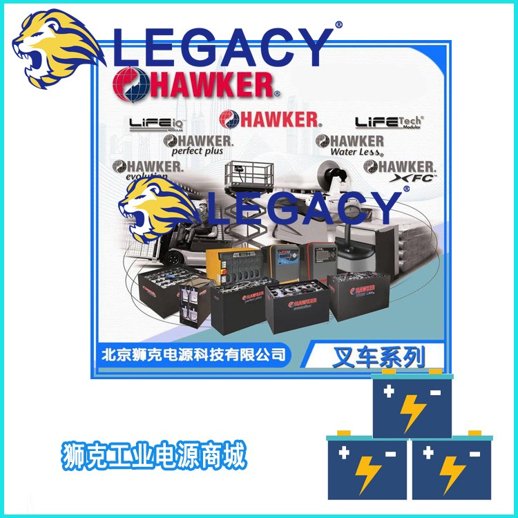 供应HAWKER霍克叉车蓄电池48V-700AH电池