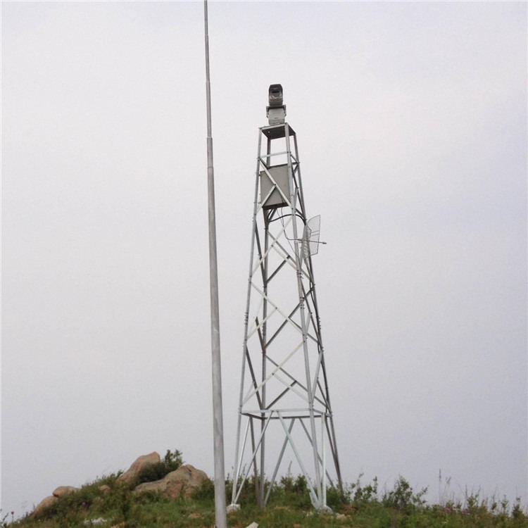泰翔设计定制 防火监控塔 林业监控杆摄像塔  草原监控塔质保30年