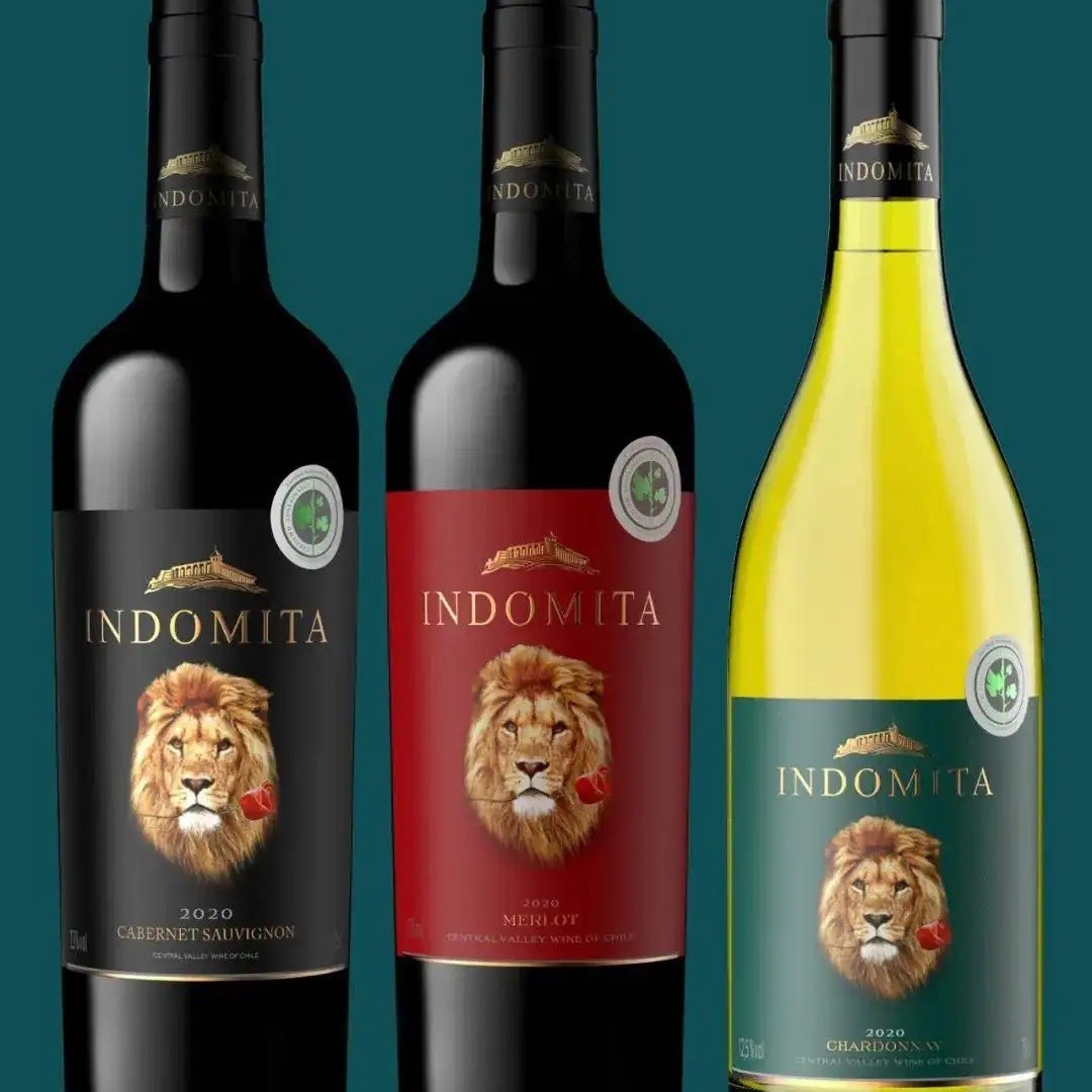 张裕进口红酒专卖智利魔狮干白价格量大批发