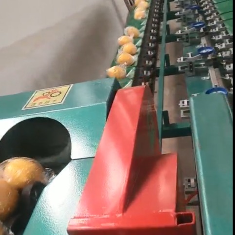 青柠檬选果机  全自动称重选果机  凯祥青柠檬重量分级选果机