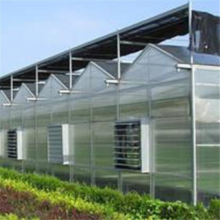 海南文洛型连栋温室 太阳能温室大棚厂家 旭航温室大棚设计