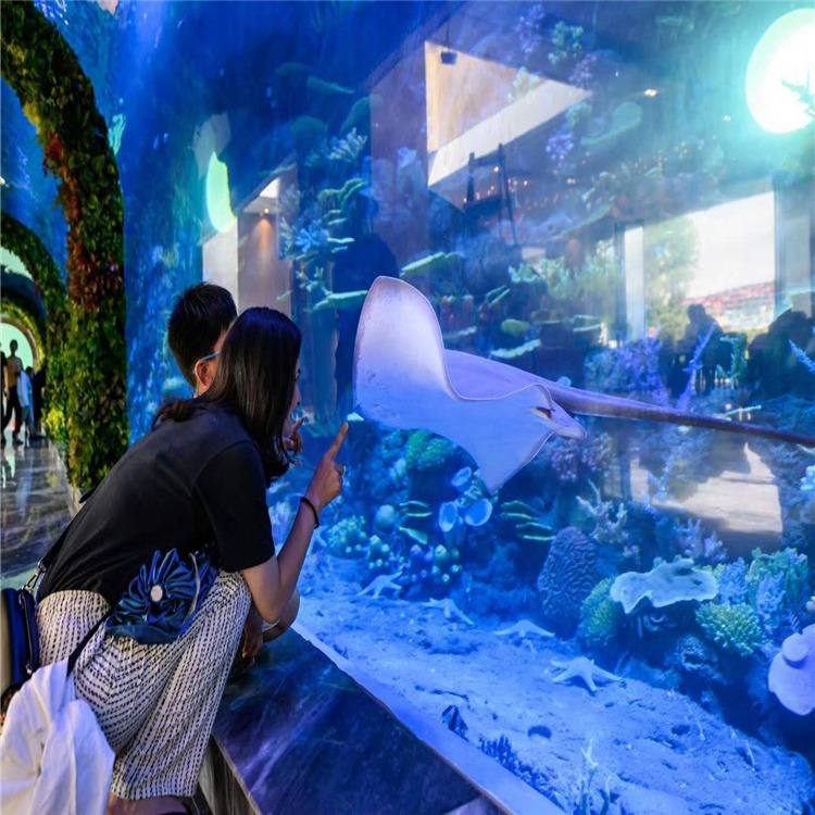 lanhu大型水族馆亚克力鱼缸海洋馆设计安装施工承接海洋馆规划制作