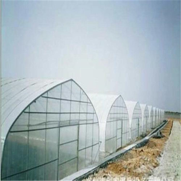 成都市温室大棚生产厂家 蔬菜钢管大棚价 旭航温室大棚建设