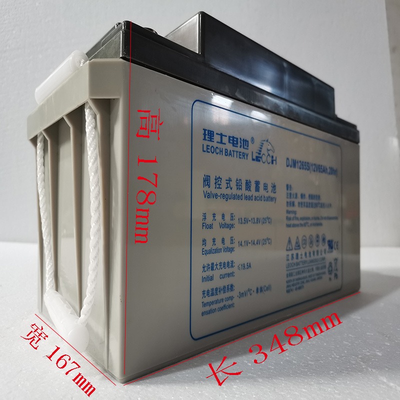原装理士12V65AH蓄电池DJM1265S高压直流屏交流屏EPS应急UPS电源