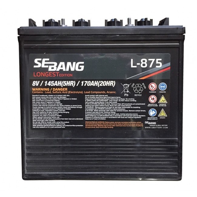 SEBANG蓄电池 韩国世邦 L-875 8V170AH 深循环电池