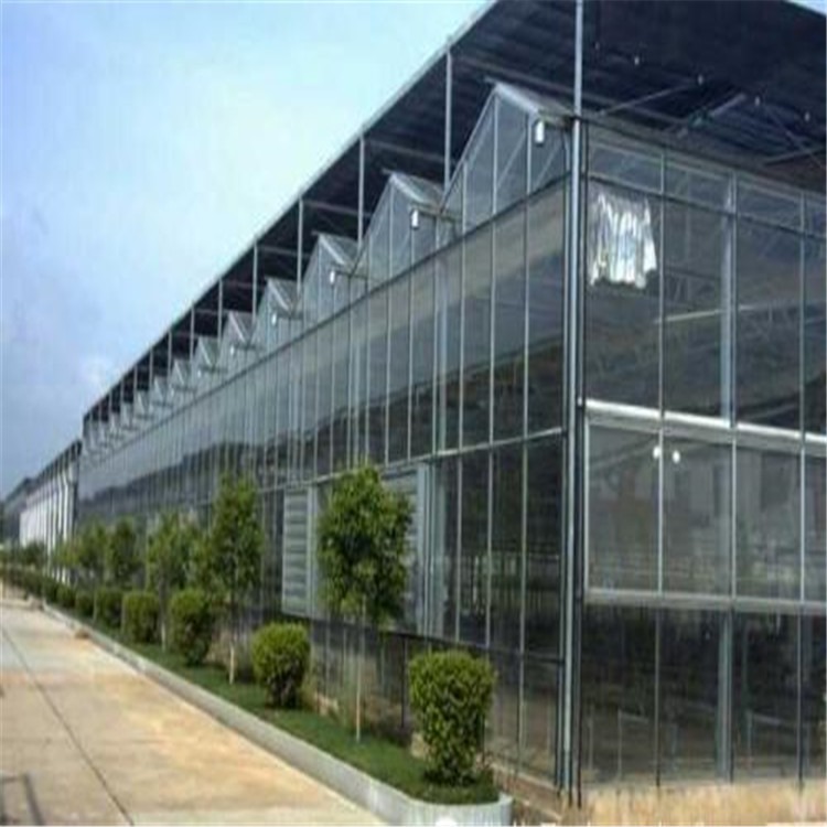 哈尔滨玻璃温室大棚造价 pc板温室地基建造 旭航温室大棚建设