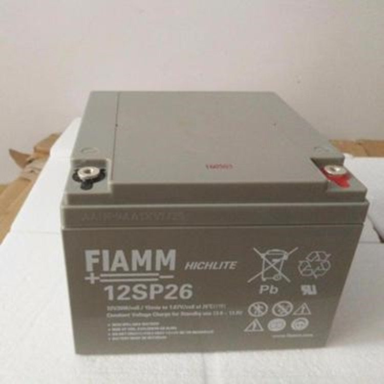 非凡电池-FIAMM蓄电池-意大利非凡蓄电池厂家批发2SLA100参数