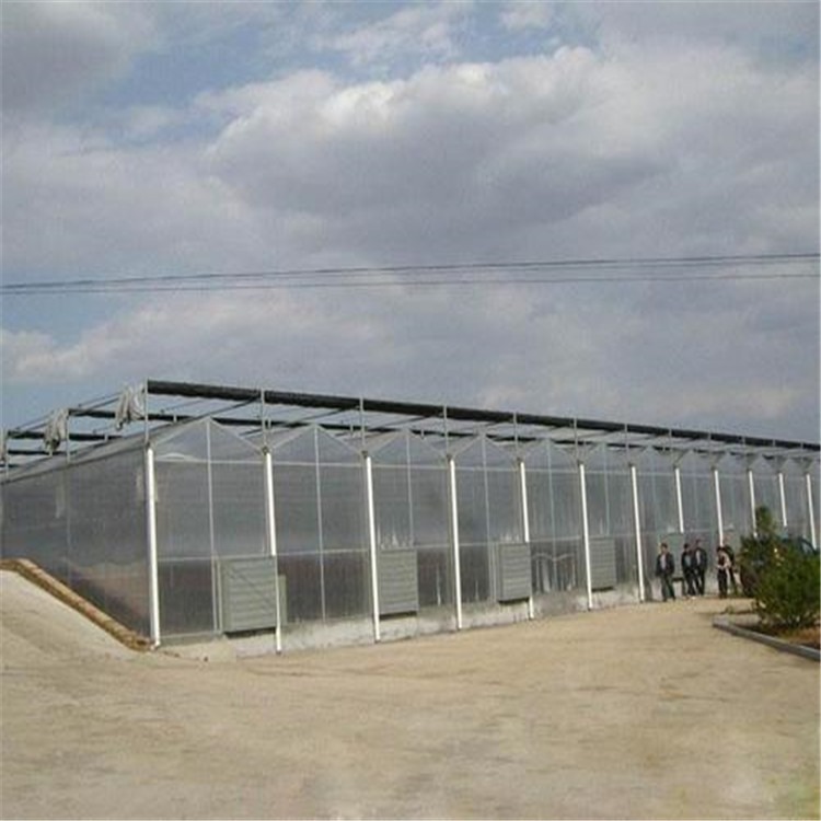 砖墙温室大棚建造  现代阳光板蔬菜大棚 旭航温室工程建设厂家