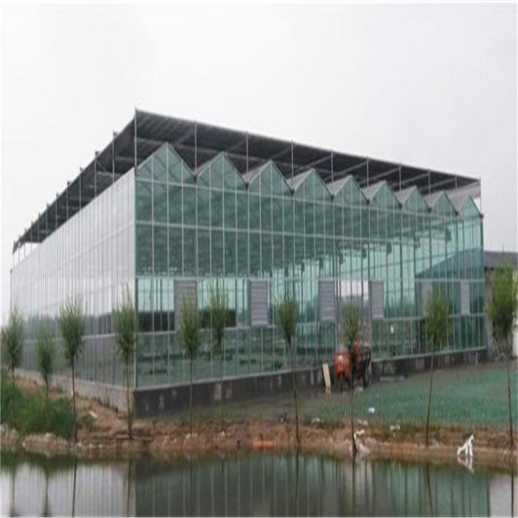 山西玻璃温室公司 畜牧养殖大棚设计 旭航温室大棚建设