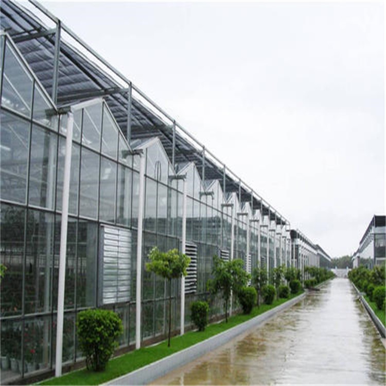 拱形钢结构大棚 阳光房玻璃温室旭航温室工程建设厂家