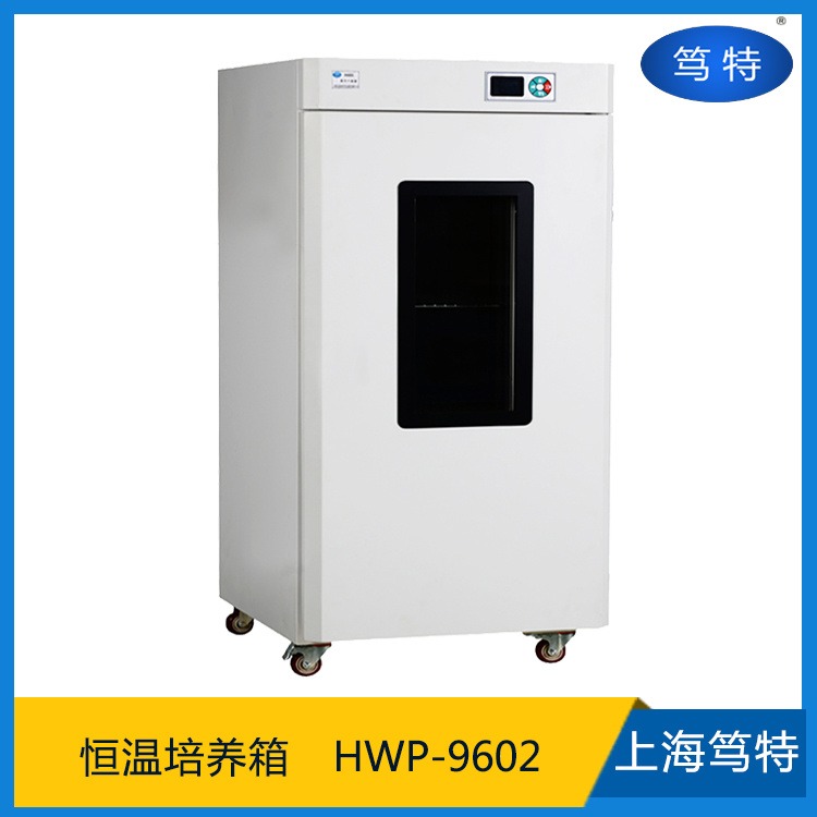 上海笃特HWP-9602组织微生物培养箱 大型立式恒温培养箱