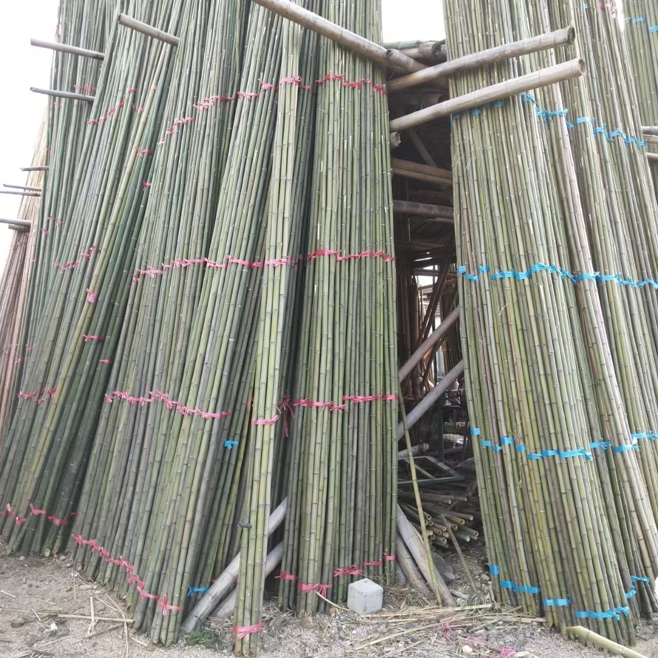 竹韵竹制品厂家大量供应7米8米9米大棚竹竿 毛竹梢 菜架竹 早元竹等各种竹类品种多多