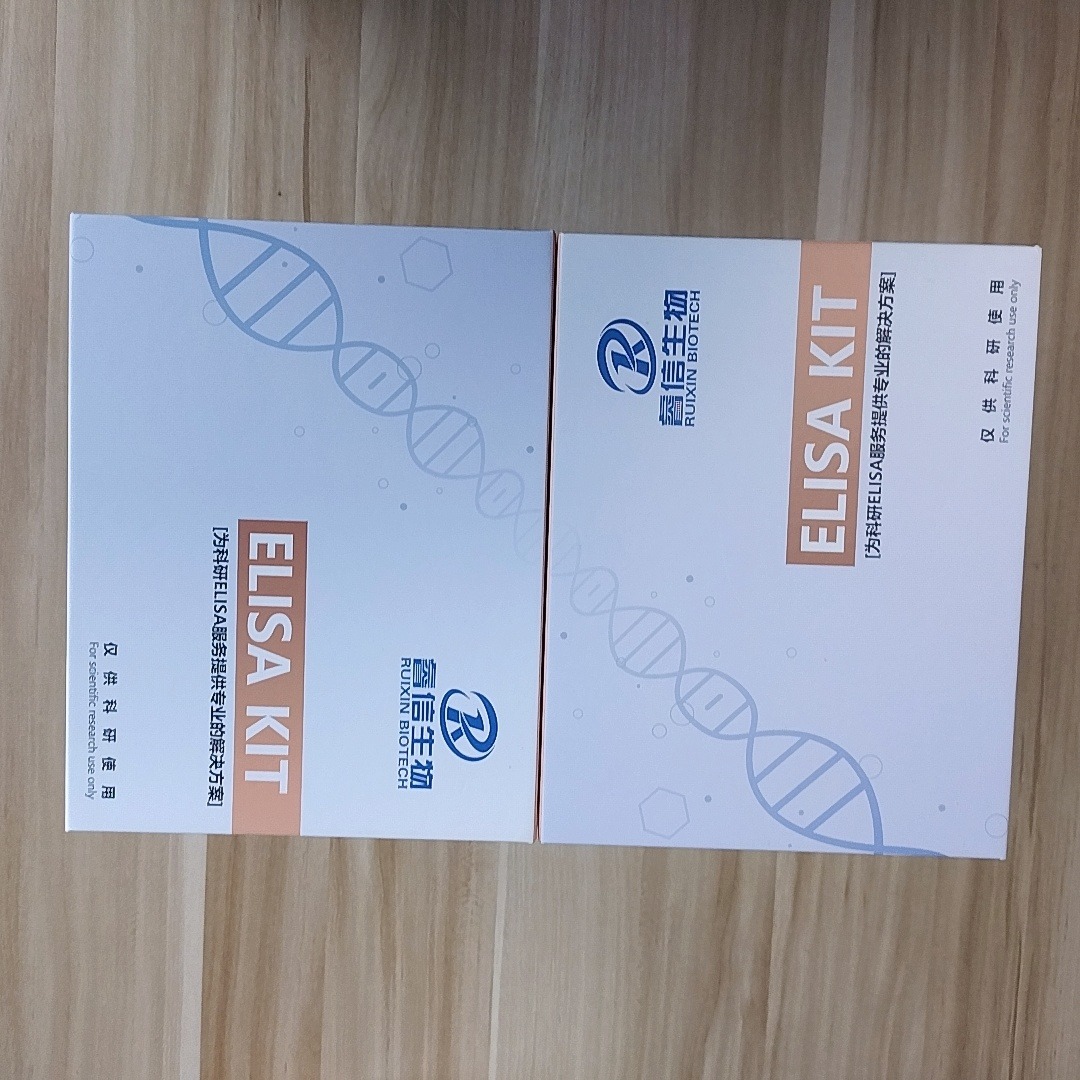 睿信生物 人抗猪链球菌抗体（SS Ab）ELISA试剂盒-定制图片