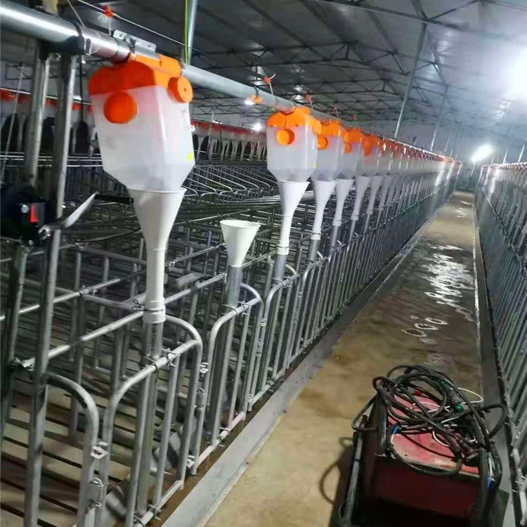 猪哈哈生产出售 猪用定位栏 带槽限位栏 整体热浸锌工艺养猪场设备