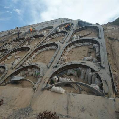黑龙江高速公路拱形护坡模具制造 河道工程工字型护坡模具质量好 护坡块模具