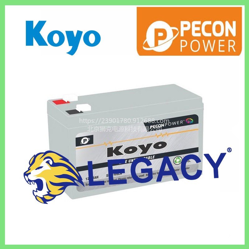 Pecon Power蓄电池Pecon Koyo 太阳能UPS 电池，2100 Gm，容量：8 Ah图片
