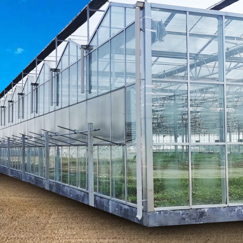 润隆农科 玻璃大棚 玻璃大棚厂家 玻璃温室价格 玻璃温室材料图片